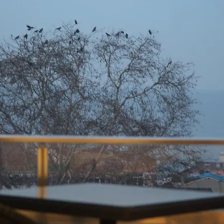 Oda ve Kahvaltı Nur 2*