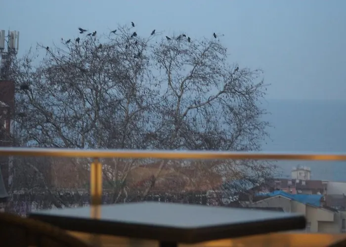 Bed & Breakfast Nur 2*